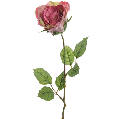 45-cm-Soft-Fuchsia-Rose
