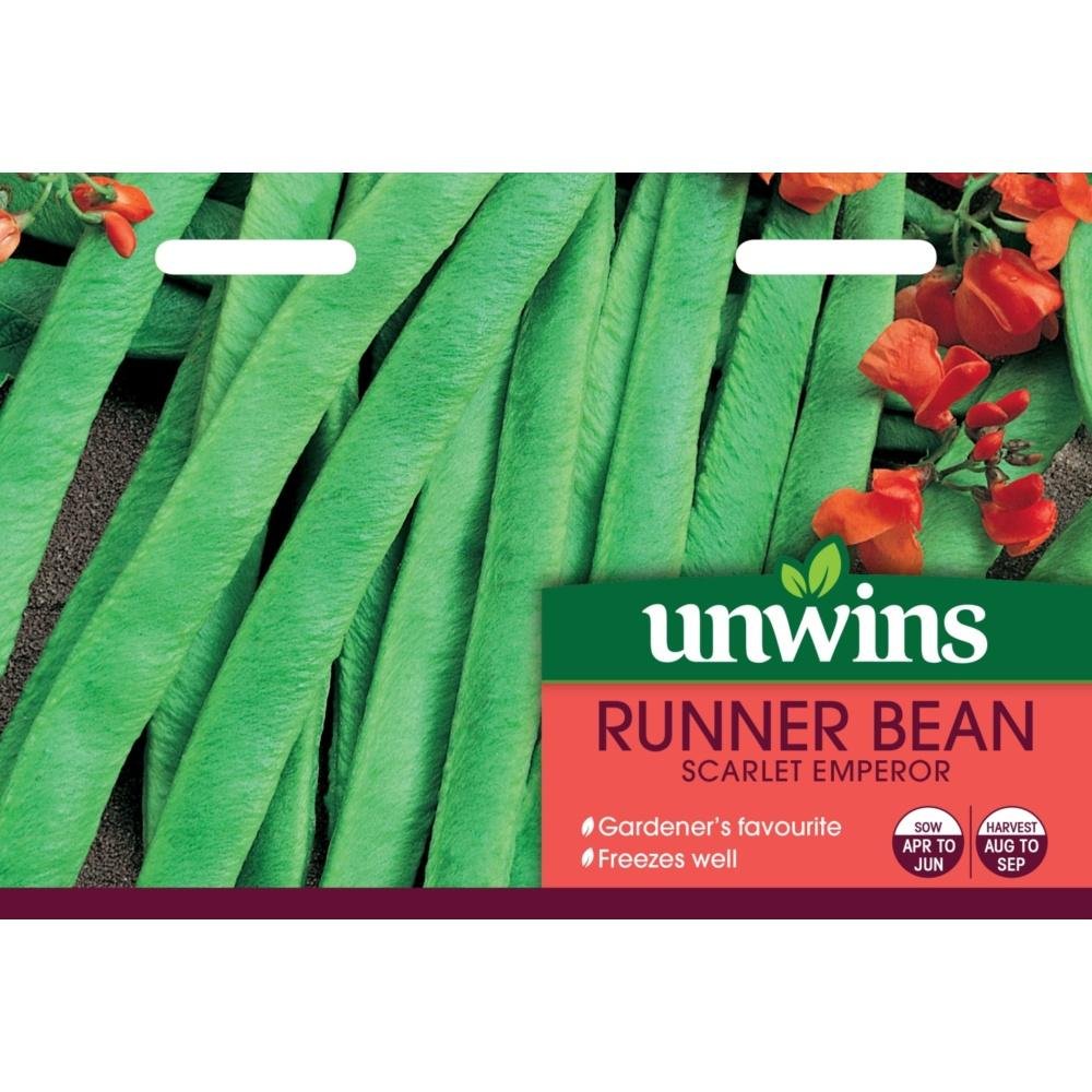 Runner Bean Scarlet Emperor