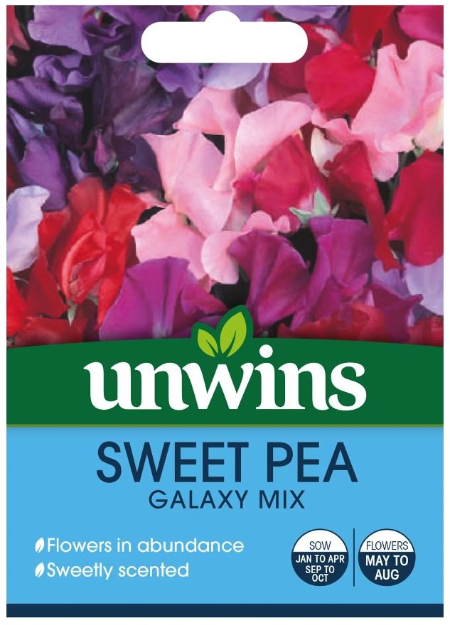 SWEET PEA GALAXY MIXED