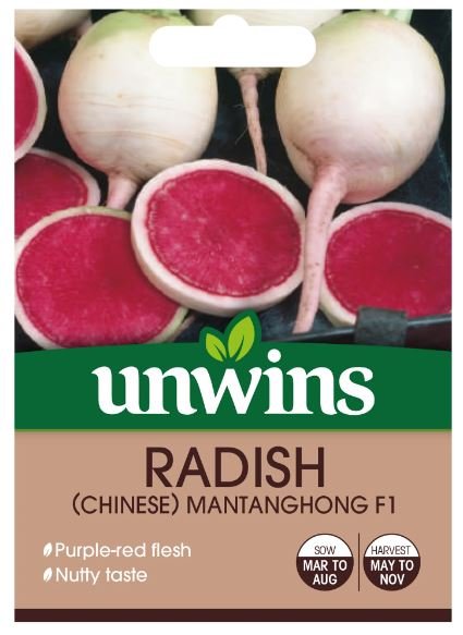 RADISH CHINESE MANTANGHONG